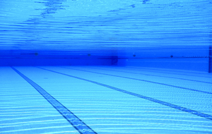 EVENEMENTS SPORTIFS A VENIR DEC