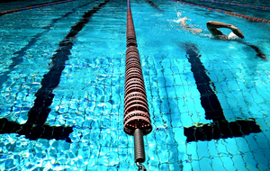 LIVE FFN REGIONAUX SAVIGNY 25/26 NOV. & Grilles de qualif.