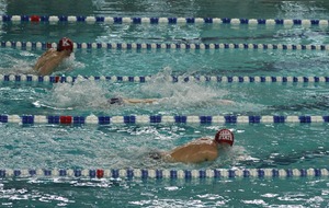 5ème Meeting du club Yerrois Natation