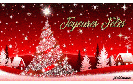 Joyeuses fêtes de fin d'année